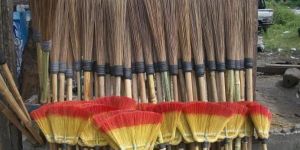 Coconut Leaf Broom