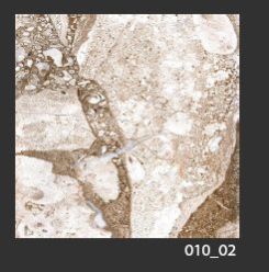 500x500 Mm Digital Glossy Marble Floor Tiles