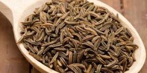 Cumin Seeds