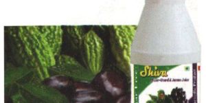 Jamun with Karela Juice