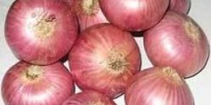 Red Onion