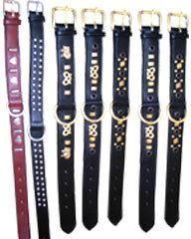 Dog Collars
