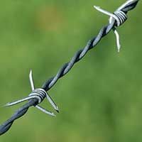 Barbed Wires