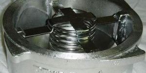 Non Slam Check Valve