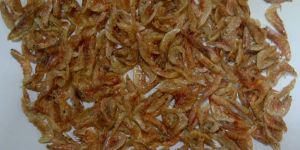 Dried Shrimps