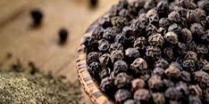 Black Pepper