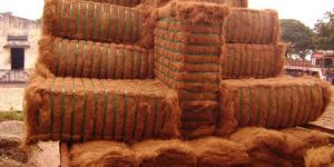 Coir Fiber