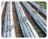 Mulch Film