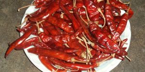 Teja Red Chilli