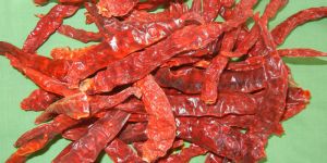 Dried Red Chilli