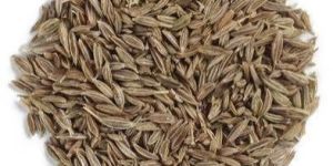 Cumin Seeds