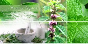 Menthol Crystal