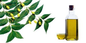 Natural Neem Oil Fertilizer