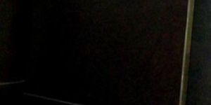 Laminated Flush Door