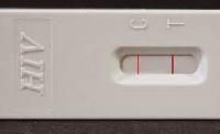 HIV Test Kit