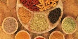 Indian Spices