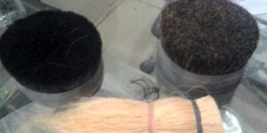 Bleached Animal Hairs