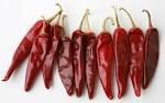 Dry Red Chilli