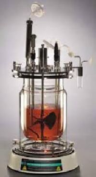 Bioreactors