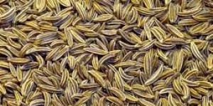 Cumin Seeds