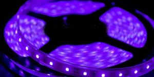 LED Strips 3528 Purple Reolite