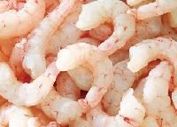 Pud Shrimps