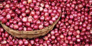 Fresh Red Onion
