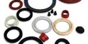 Oil Seals