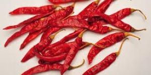 Dried Red Chilly
