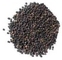 Black Pepper