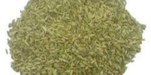 Fennel Seeds