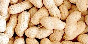 Shelled Groundnuts