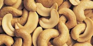 Cashew Nuts