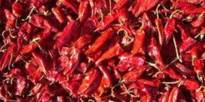 Dry Red Chili