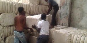 Cotton Bales
