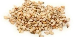 Sesame Seeds