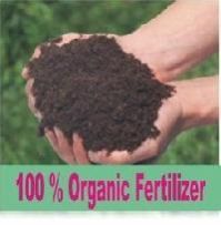 Bio Organic Fertilizers