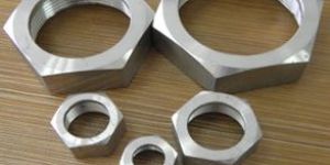 Stainless Steel Nuts