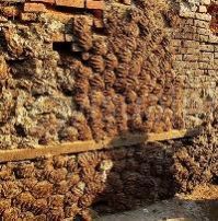 Cow Dung