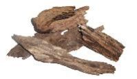 Agarwood