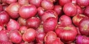 Fresh Red Onion