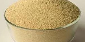 Soybean Meal