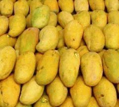 Fresh Mango