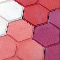Interlocking Paver Blocks