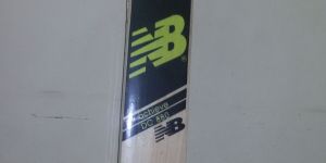 Kashmir Willow Bat