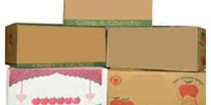 Fruit Packaging Corrugated Box