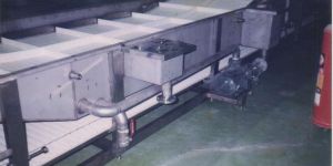 Sterilization Conveyor