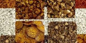 Sweet Supari Compounds