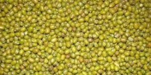 Green Moong Dal