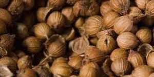 Coriander Seeds